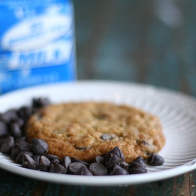 chocolate chip cookie 